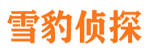 文安婚外情调查取证